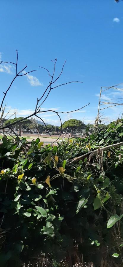 Les Iles D'Or Au Port De Hyeres Grand Studio Climatise Экстерьер фото