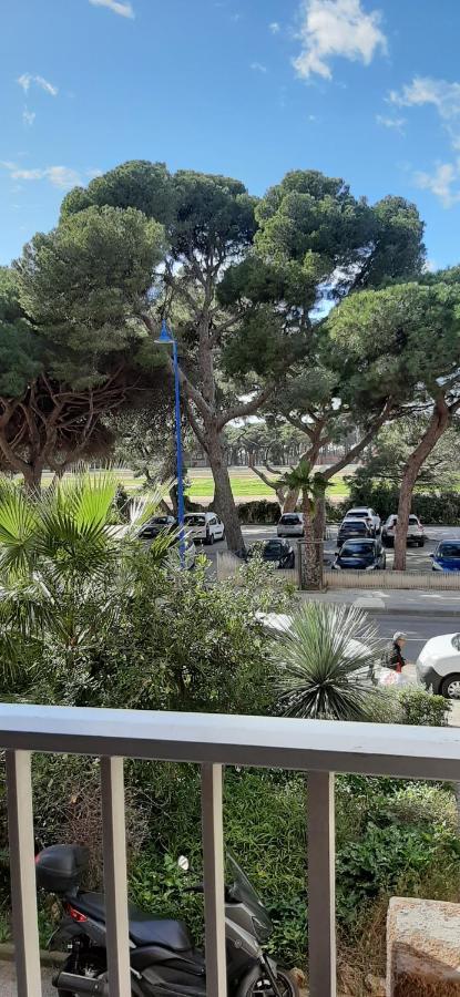 Les Iles D'Or Au Port De Hyeres Grand Studio Climatise Экстерьер фото
