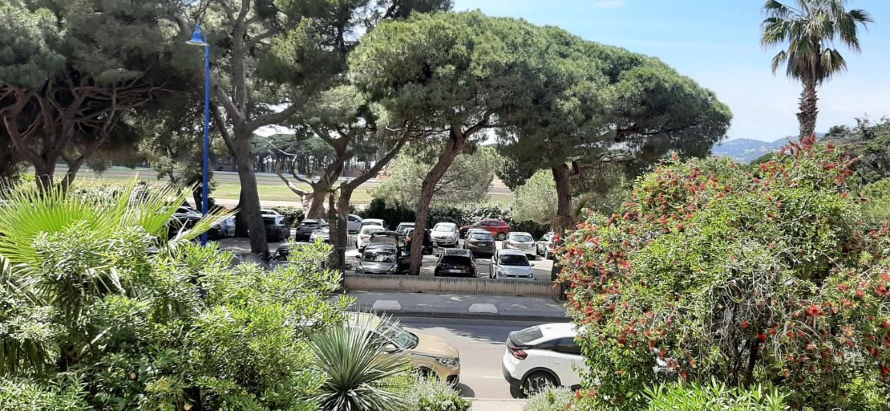 Les Iles D'Or Au Port De Hyeres Grand Studio Climatise Экстерьер фото